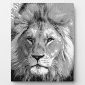 Black White Lion Fotoplaat (Voorkant)