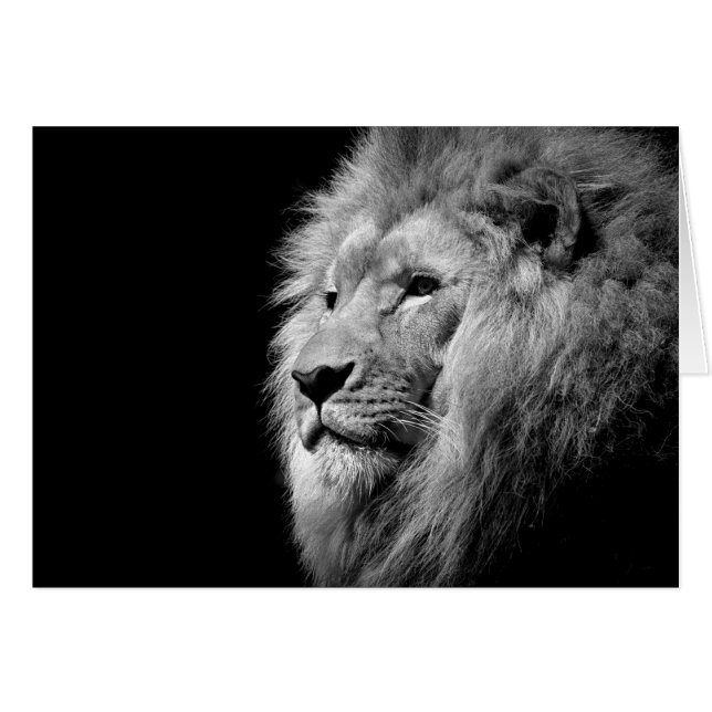 Black White Lion Portret - Dierfotografie (Voorkant Horizontaal)