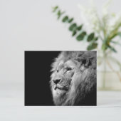 Black White Lion Portret - Dierfotografie Briefkaart (Staand voorkant)