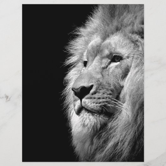 Black White Lion Portret - Dierfotografie Gepersonaliseerd Briefhoofd (Voorkant)