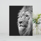 Black White Lion Portret - Dierfotografie Gepersonaliseerd Briefhoofd (Staand voorkant)