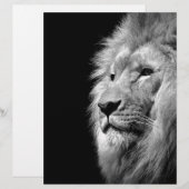 Black White Lion Portret - Dierfotografie Gepersonaliseerd Briefhoofd (Voorkant / Achterkant)