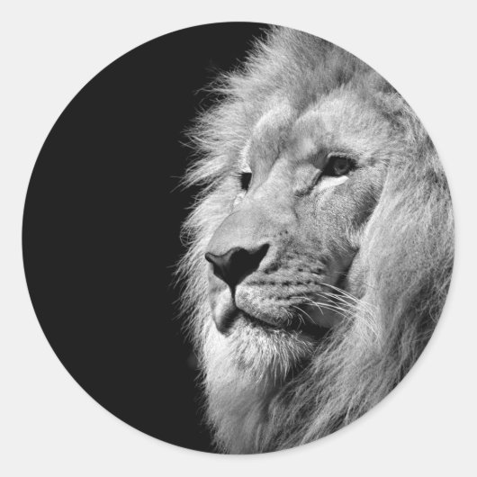 Black White Lion Portret - Dierfotografie Ronde Sticker (Voorkant)