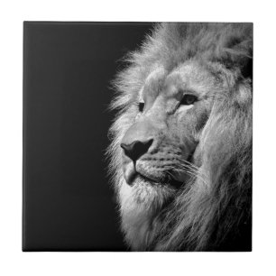 Black White Lion Portret - Dierfotografie Tegeltje