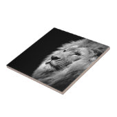 Black White Lion Portret - Dierfotografie Tegeltje (Zijkant)
