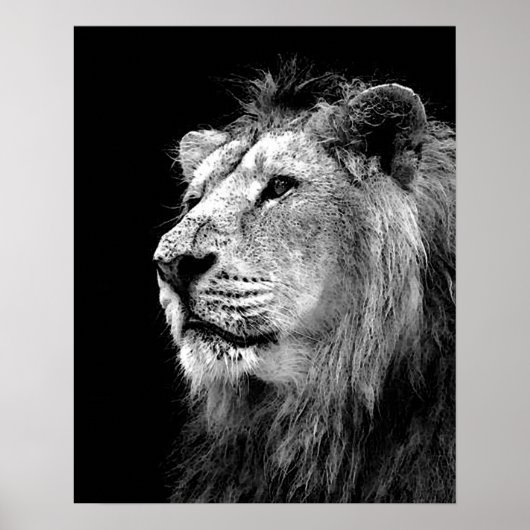 Black White Lion Poster - Animal Photography Art (Voorkant)