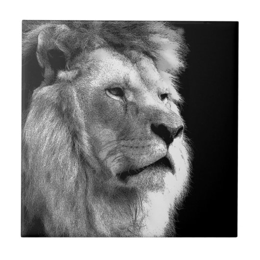 Black White Lion Tegeltje (Voorkant)