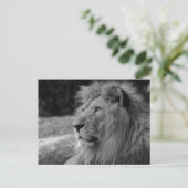 Black & White Lion the King - Dierenfotografie Briefkaart (Staand voorkant)