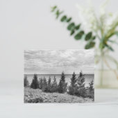 Black & White Mackinac Island, Michigan Shoreline Briefkaart (Staand voorkant)