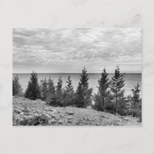 Black & White Mackinac Island, Michigan Shoreline Briefkaart
