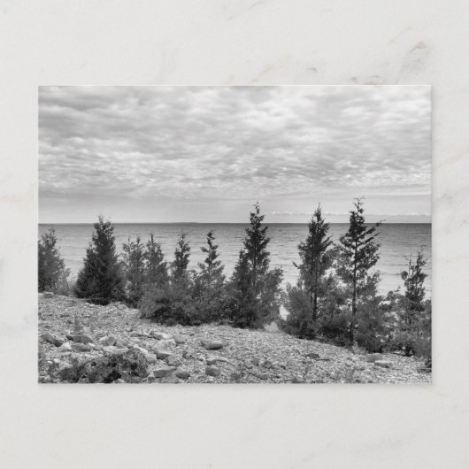 Black & White Mackinac Island, Michigan Shoreline Briefkaart (Voorkant)