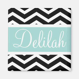 Black White Mint Turquoise Chevron Custom Magneet