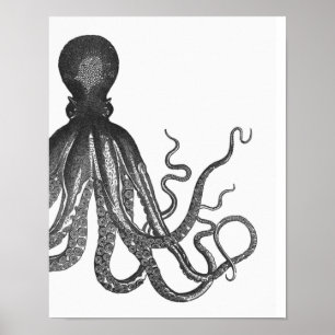 Black & White Modern Octopus Poster