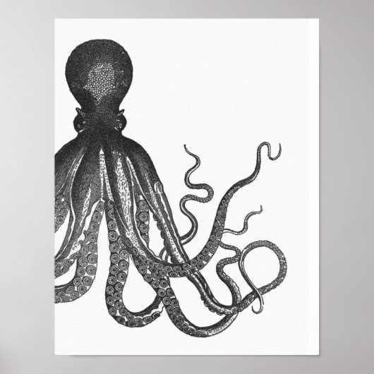 Black & White Modern Octopus Poster (Voorkant)