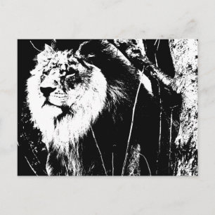 Black White Modern Pop Art Sjabloon Animal Lion Briefkaart