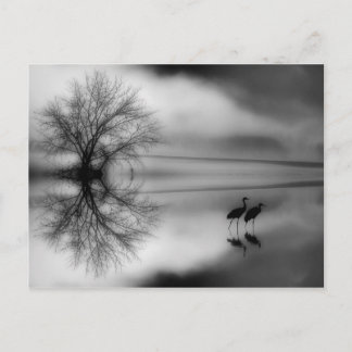 Black & White Morning Post Card Briefkaart