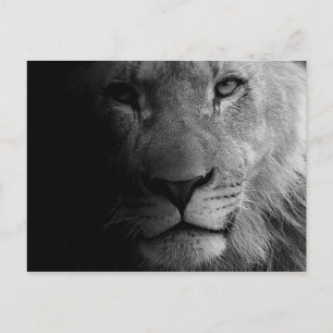 Black White Motivatie Leadership Lion Portret Briefkaart