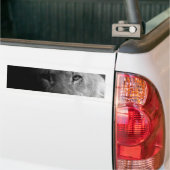 Black White Motivatie Leadership Lion Portret Bumpersticker (Op Truck)