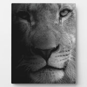 Black White Motivatie Leadership Lion Portret Fotoplaat (Voorkant)