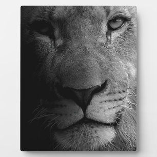 Black White Motivatie Leadership Lion Portret Fotoplaat