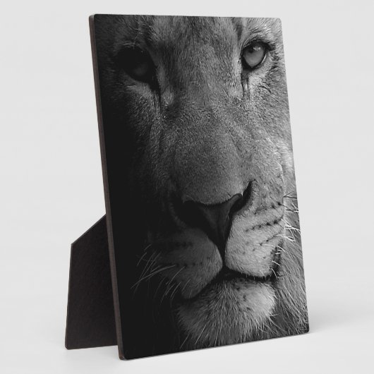Black White Motivatie Leadership Lion Portret Fotoplaat (Zijkant)