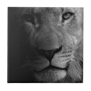 Black White Motivatie Leadership Lion Portret Tegeltje