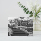 Black White NY Central Park Briefkaart (Staand voorkant)