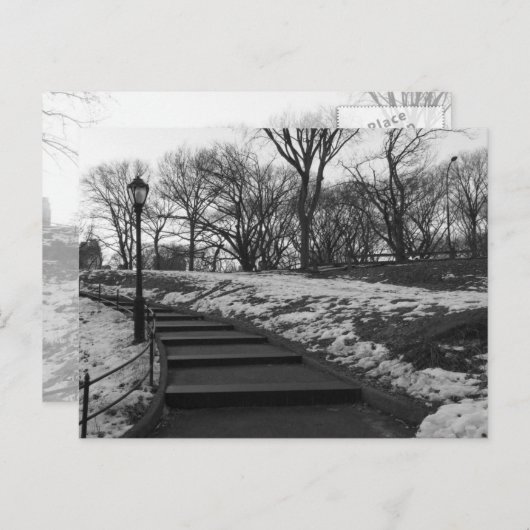 Black White NY Central Park Briefkaart (Voorkant / Achterkant)