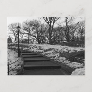 Black White NY Central Park Briefkaart