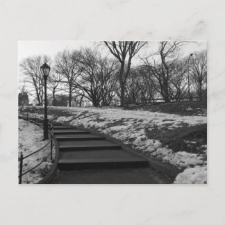 Black White NY Central Park Briefkaart