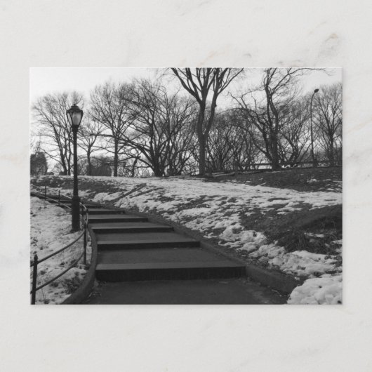 Black White NY Central Park Briefkaart (Voorkant)
