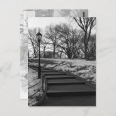 Black White NY Central Park Briefkaart (Voorkant / Achterkant)
