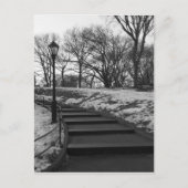 Black White NY Central Park Briefkaart (Voorkant)