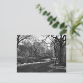 Black White NY Central Park Briefkaart (Staand voorkant)