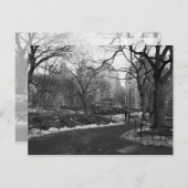 Black White NY Central Park Briefkaart (Voorkant / Achterkant)