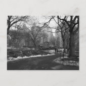 Black White NY Central Park Briefkaart (Voorkant)