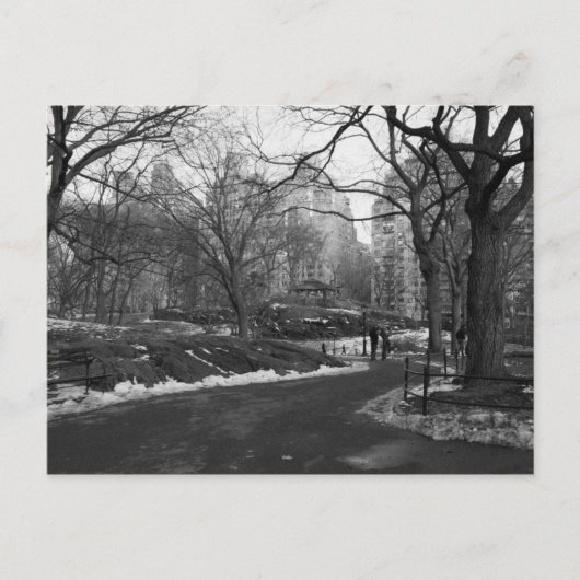 Black White NY Central Park Briefkaart (Voorkant)