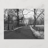 Black White NY Central Park Briefkaart (Voorkant)