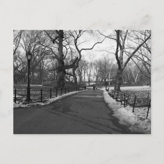 Black White NY Central Park Briefkaart (Voorkant)