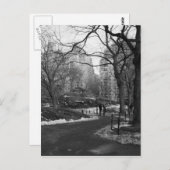 Black White NY Central Park Briefkaart (Voorkant / Achterkant)