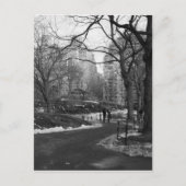 Black White NY Central Park Briefkaart (Voorkant)
