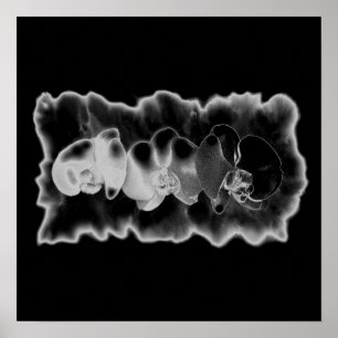 Black White Orchid schilderij trippy floral Poster