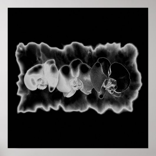 Black White Orchid schilderij trippy floral Poster (Voorkant)