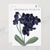 Black White Orchid Waterverf Floral Briefkaart (Voorkant / Achterkant)