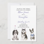 Black White Paars Dog Baby's 2e verjaardag Kaart (Voorkant)