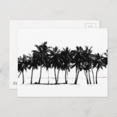 Black White Palm Trees Silhouette Briefkaart (Voorkant / Achterkant)