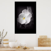 Black & White Pansy Poster (Keuken)