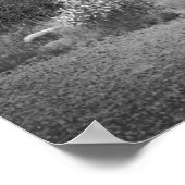 Black & White Park Bench 16x20 Poster afdrukken (Hoek)