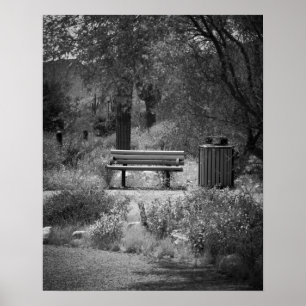 Black & White Park Bench 16x20 Poster afdrukken