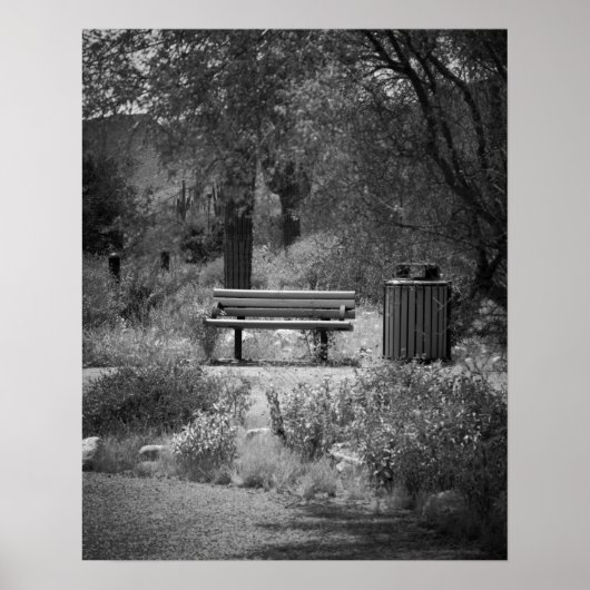 Black & White Park Bench 16x20 Poster afdrukken (Voorkant)